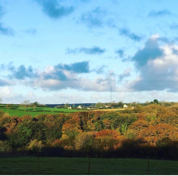 Forehill Farm , Clarbeston Road