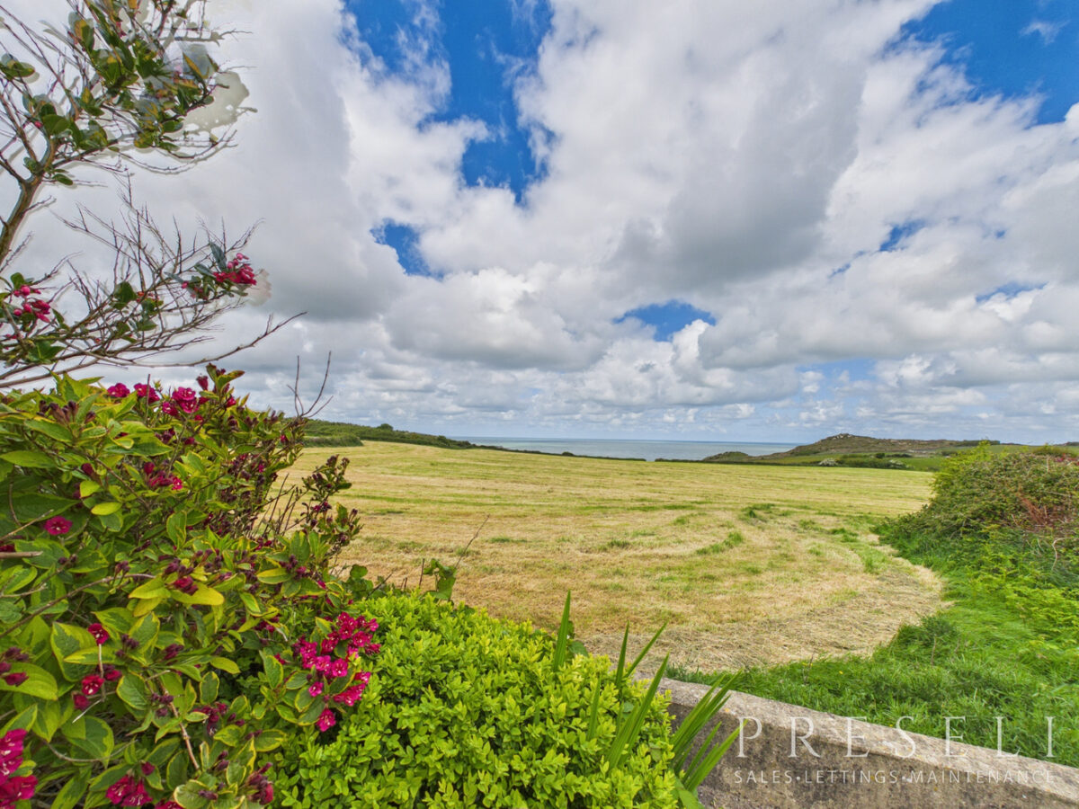 Tynewydd Cottages, Fishguard