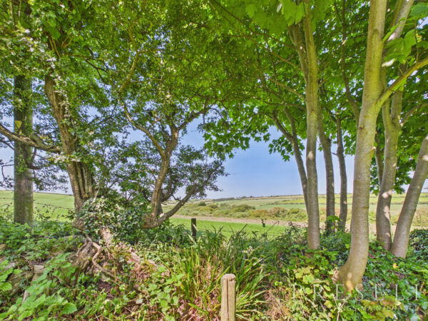 Bridge Cottage, Castlemorris, Haverfordwest, Pembrokeshire