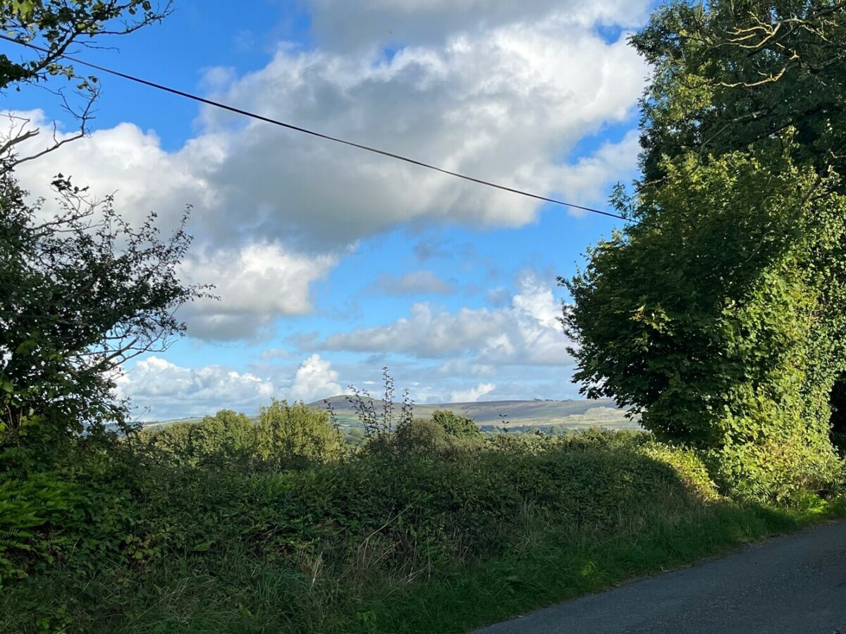 Brynberian, Newport